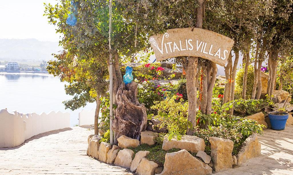 vitalis-home-explore-02